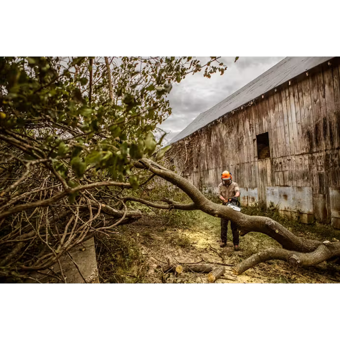 f9662584-5197-4a0d-993d-08dcab2564b5