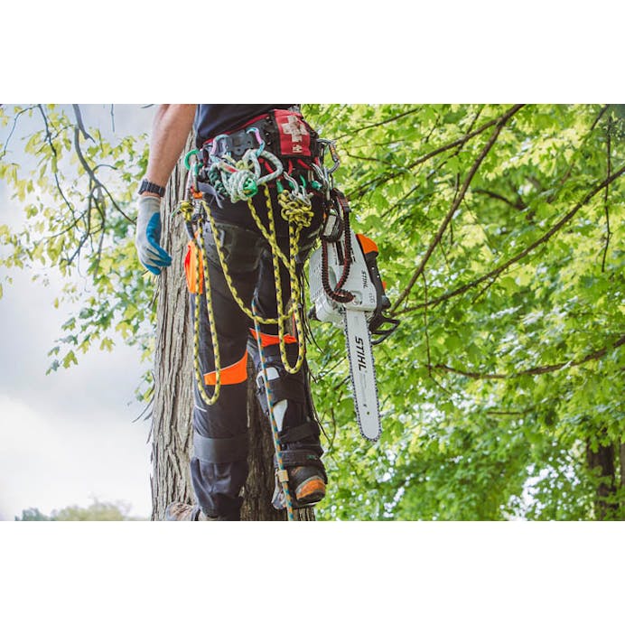 319a7962-dd02-4dfb-df49-08dd792a4d90